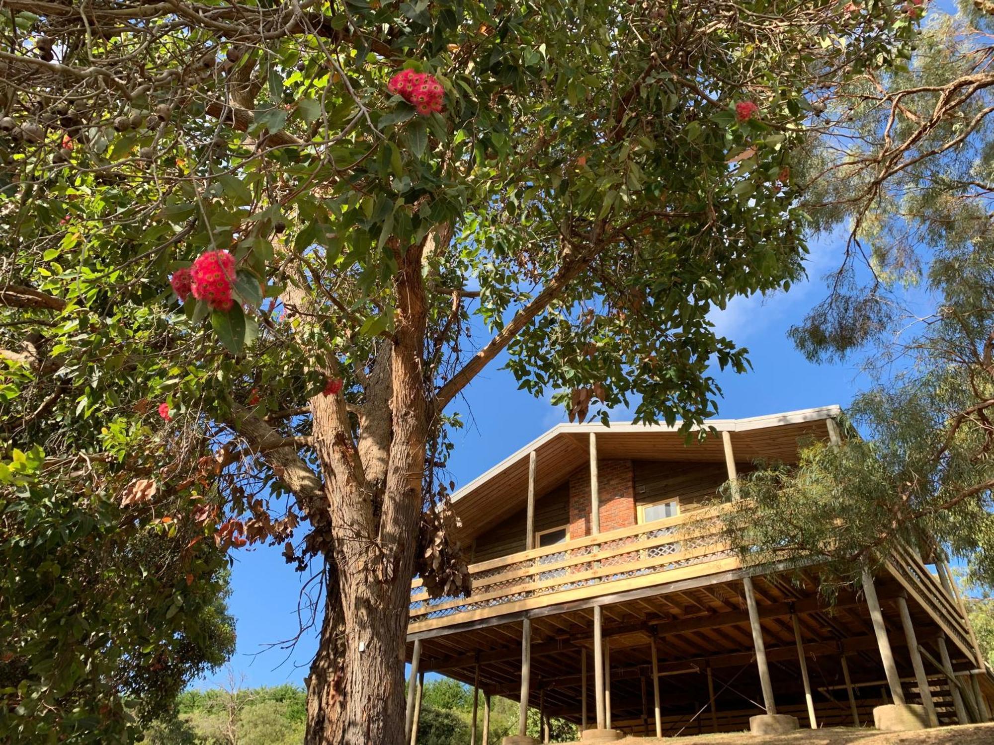Iluka Retreat Glamping Village Red Hill South Dış mekan fotoğraf
